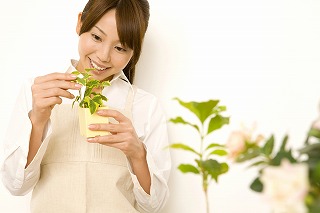 モニター募集